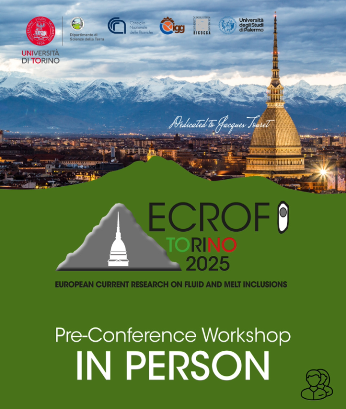 ECROFI 2025 Pre Conference Workshop: June 27-29, 2025 | In person