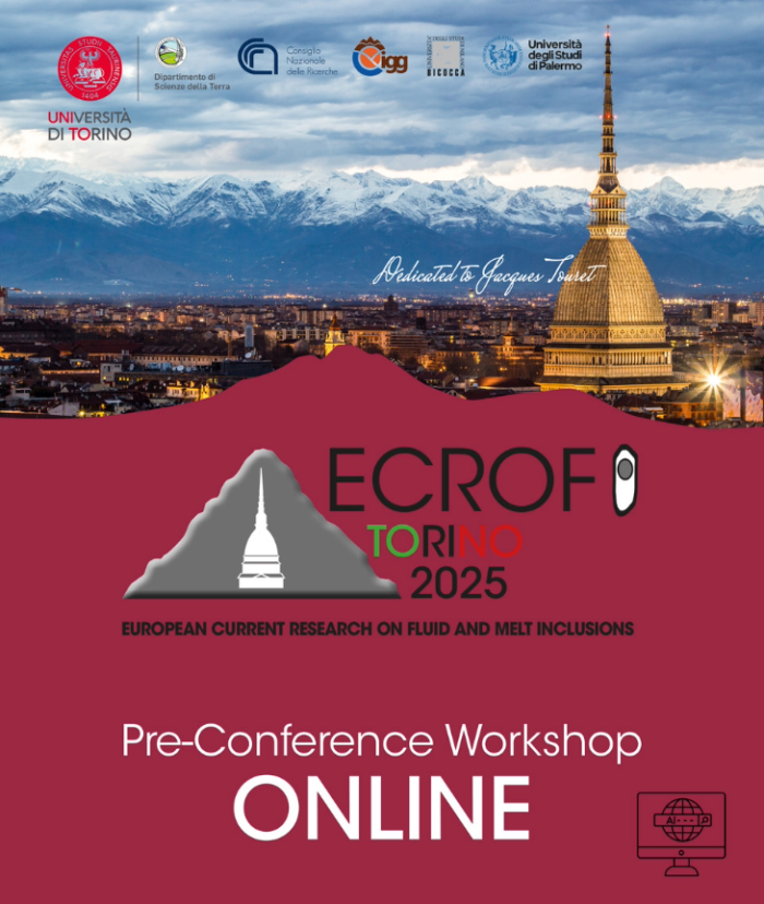ECROFI 2025 Pre Conference Workshop: June 27-29, 2025 | Online