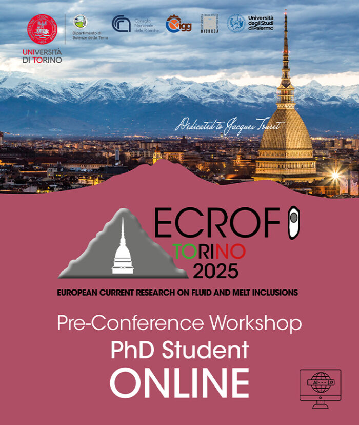 ECROFI 2025 Pre Conference Workshop: June 27-29, 2025 | PhD Student Online